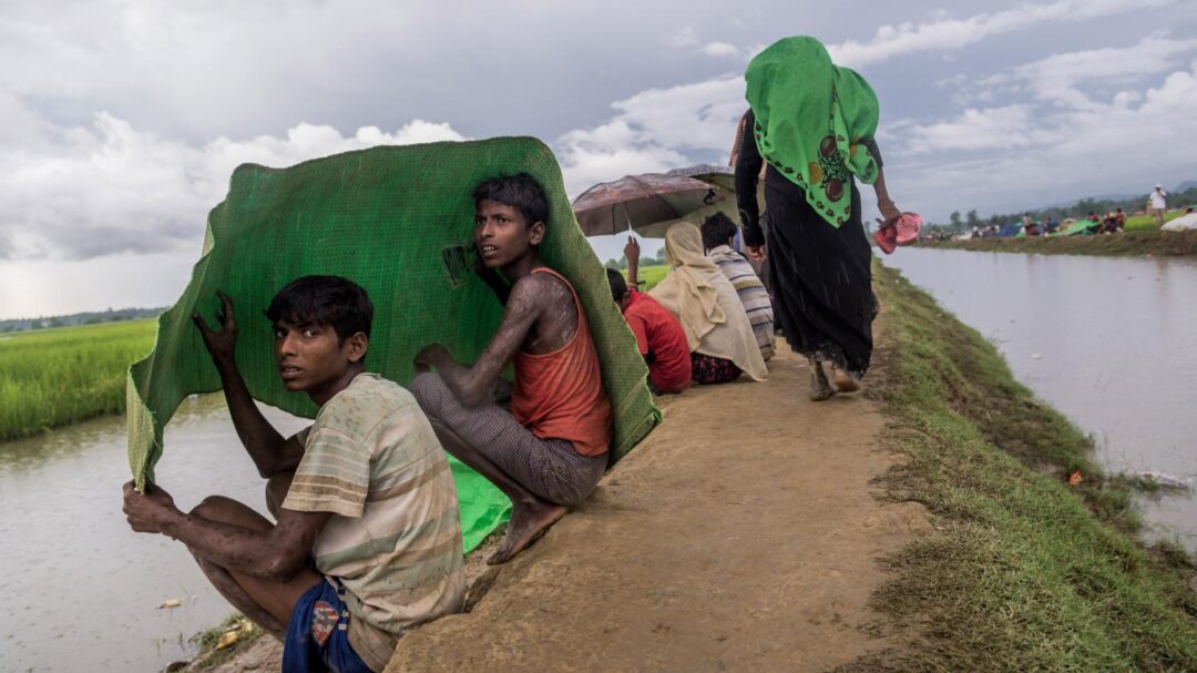 "Nous ne devons pas rester spectateurs de ce génocide" : des artistes appellent à aider les Rohingyas