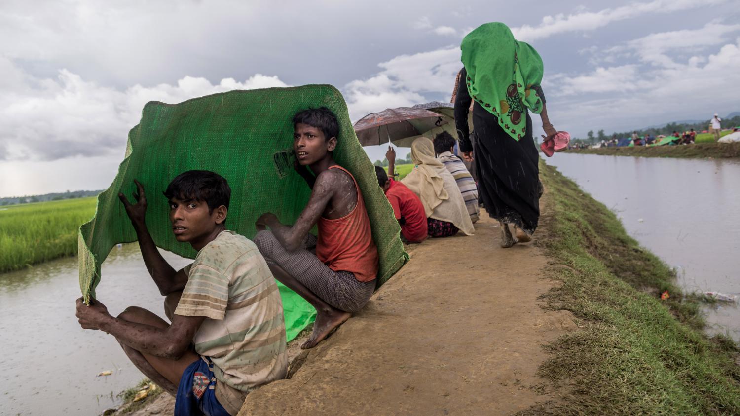 "Nous ne devons pas rester spectateurs de ce génocide" : des artistes appellent à aider les Rohingyas