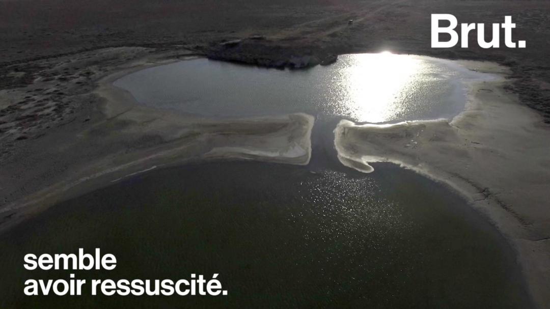 VIDEO. Considérée comme morte, la mer d’Aral semble avoir ressuscité