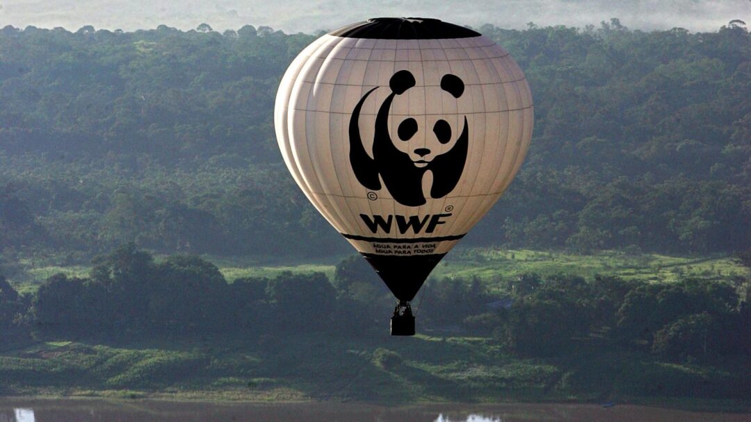 WWF accusé de financer des groupes paramilitaires "tuant et torturant des gens" en Afrique et en Asie