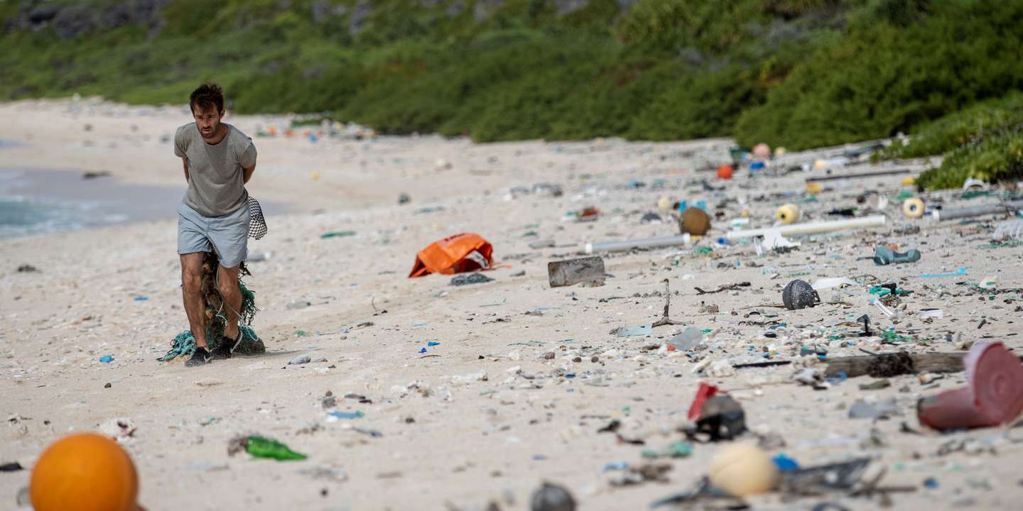 L’île Henderson, lieu à « l’écologie pratiquement intacte » désormais noyé sous le plastique
