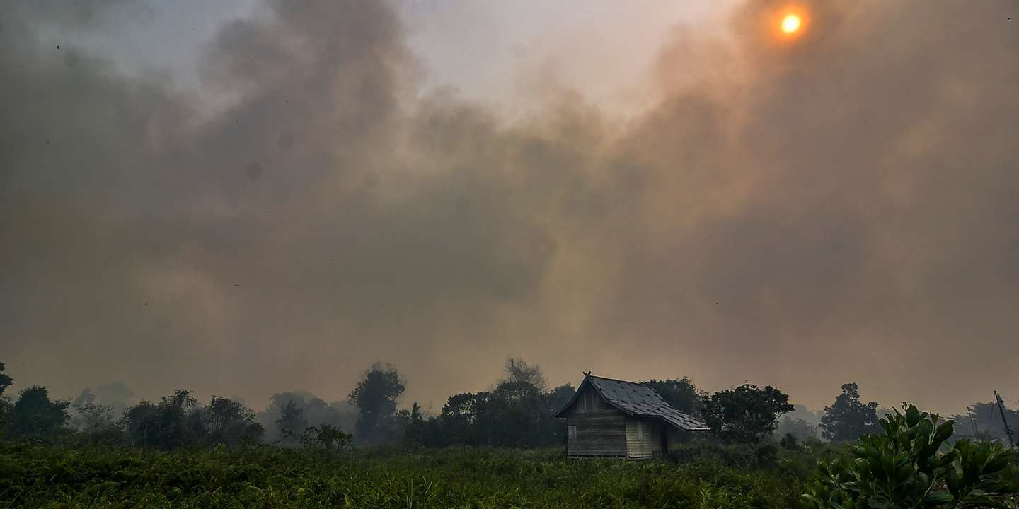 Feux de forêt en Indonésie : le président Joko Widodo reconnaît des « négligences »