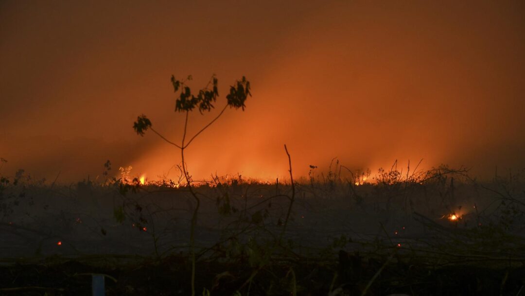 Indonésie : des millions d'enfants menacés par les incendies
