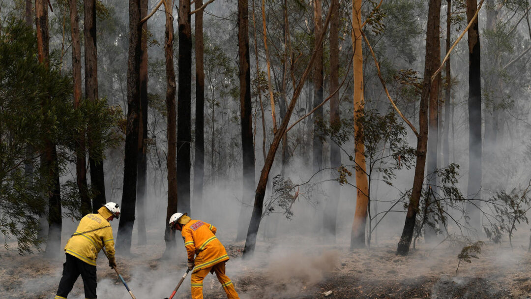 Australie : population piégée par les flammes et biodiversité dévastée, la solidarité s'organise