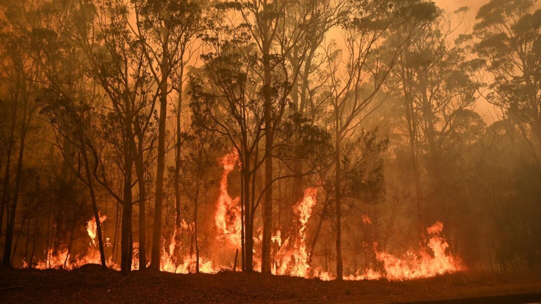 Les incendies ont touché trois Australiens sur quatre, selon une étude