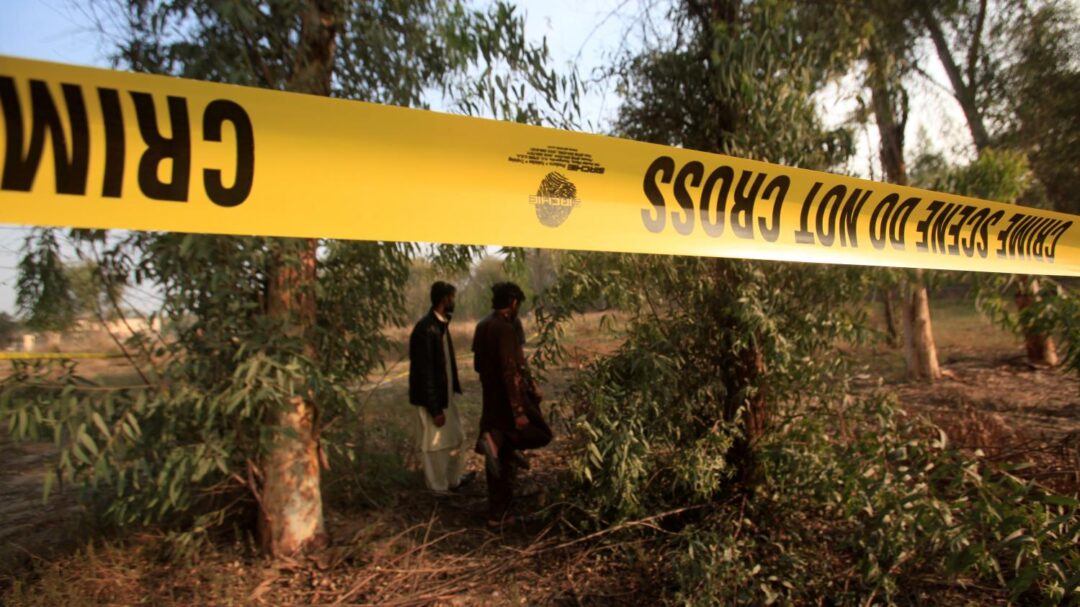 Pakistan : les restes d'un adolescent travaillant dans un zoo retrouvés dans l'enclos des lions