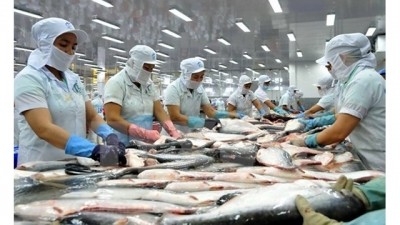 Les États-Unis réduisent les taxes antidumping sur les produits de poisson tra vietnamiens