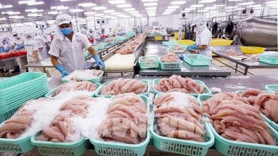 Le Vietnam continue à renforcer ses exportations de poissons-chats vers les États-Unis, l’UE et la Chine