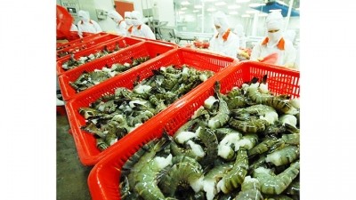 Les exportations de crevettes vietnamiennes à la hausse