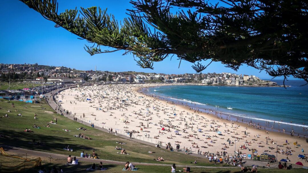 À Sydney, en Australie, le projet de privatisation de Bondi Beach fait polémique