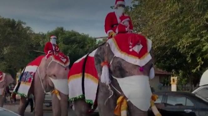 En Thaïlande, des éléphants de Noël controversés
