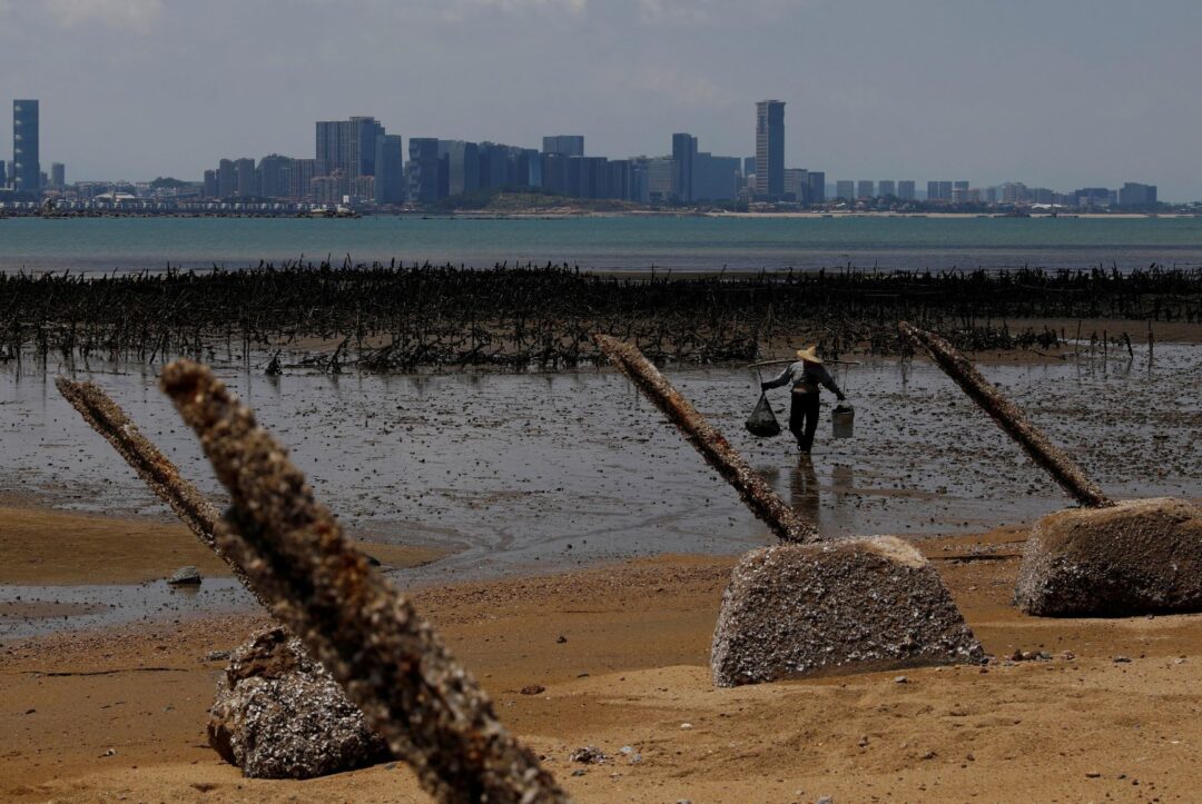 An oyster farmer walks in front of China's Xiamen, ahead of the 60th anniversary of Second Taiwan Straits Crisis against China, on Lieyu island, Kinmen county, Taiwan, 20 August 2018 (Photo: Reuters/Tyrone Siu).