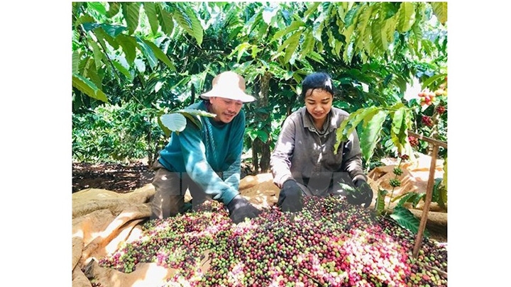 Connexion de la consommation et de l'exportation des produits agricoles vers l'Algérie et le Sénégal