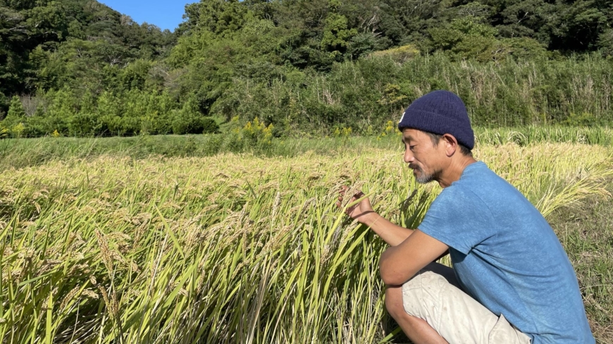 Mi-agriculture, mi-tout : la révolution du mode de vie rural au Japon