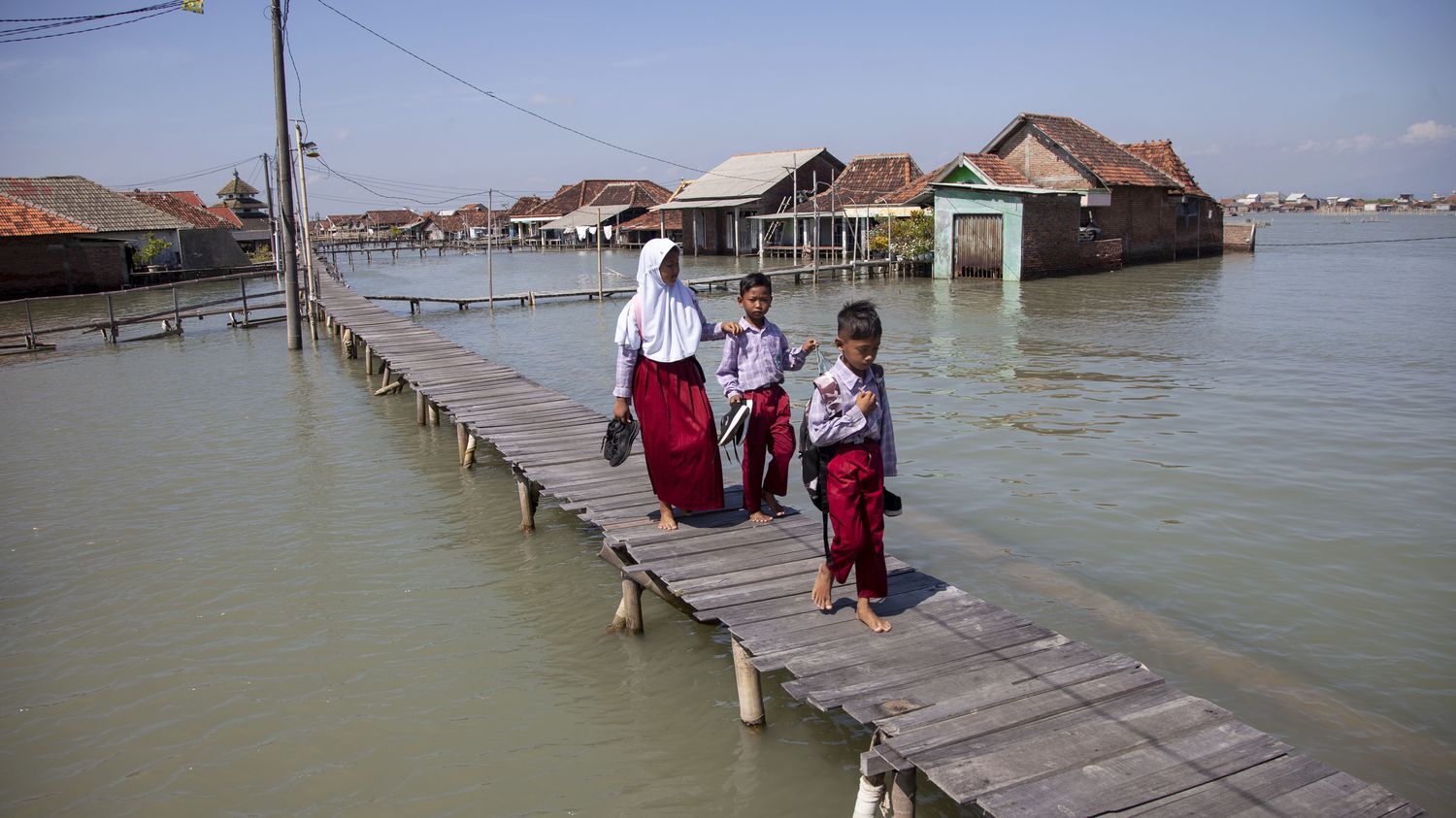REPORTAGE. Élections en Indonésie : "On a besoin dès maintenant de la justice climatique", demandent les ONG environnementales