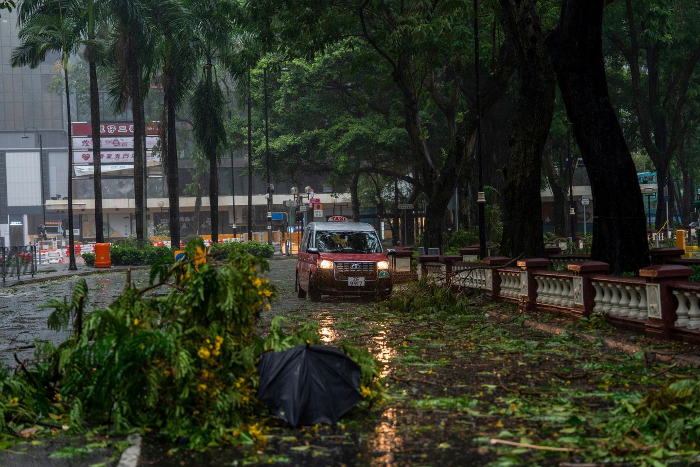 En images, typhon Wipha : de nombreux arbres déracinés et plusieurs échafaudages effondrés à Hongkong