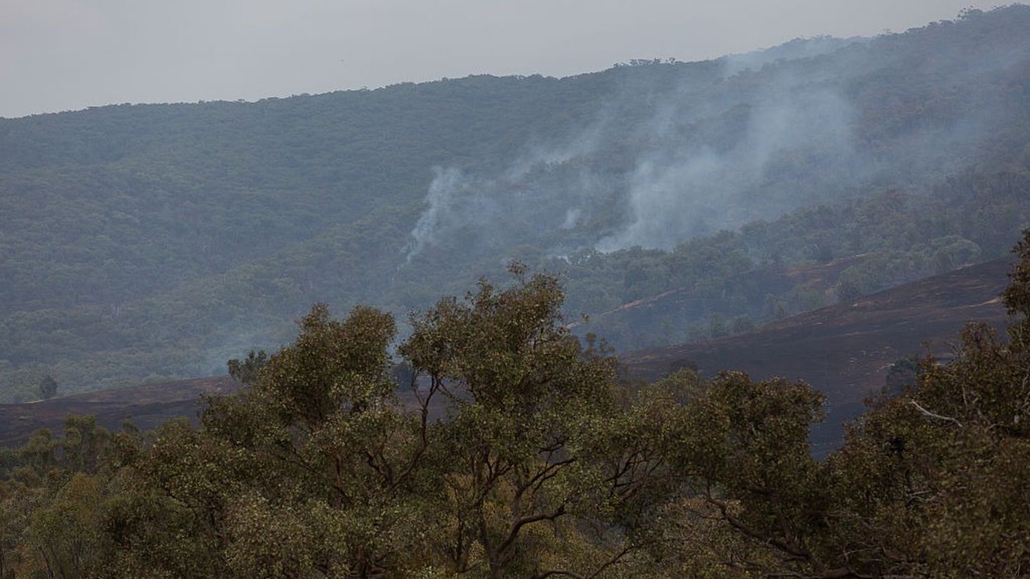 Incendies en Australie : les autorités déclarent l'état de catastrophe dans le sud-est du pays