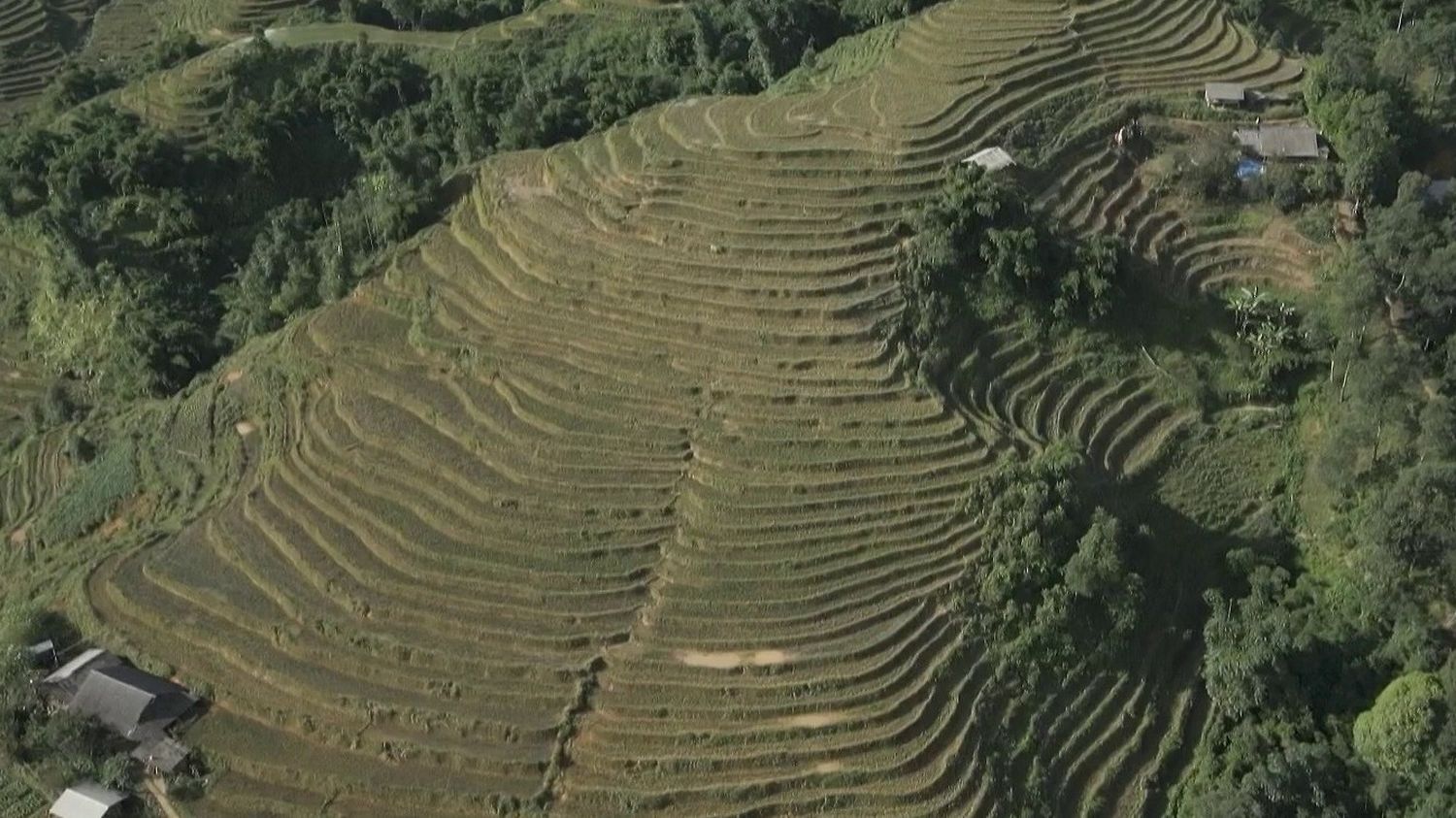 Au Vietnam, découverte dépaysante des rizières perchées et montagnes du nord du pays