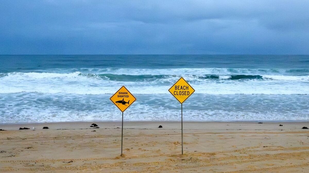 En Australie, un homme meurt après une attaque de requin